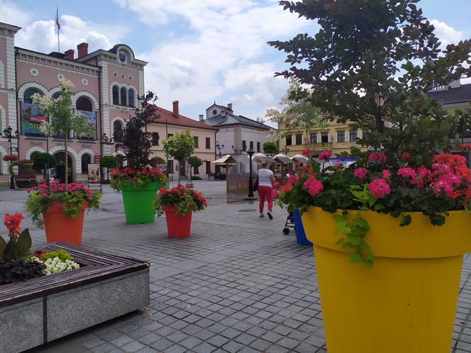 strefa relaksu na rynku w Żywcu