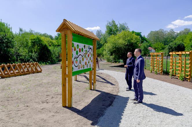 Wege Park w Wilanowie