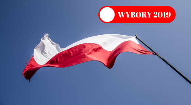 Wybory 2019