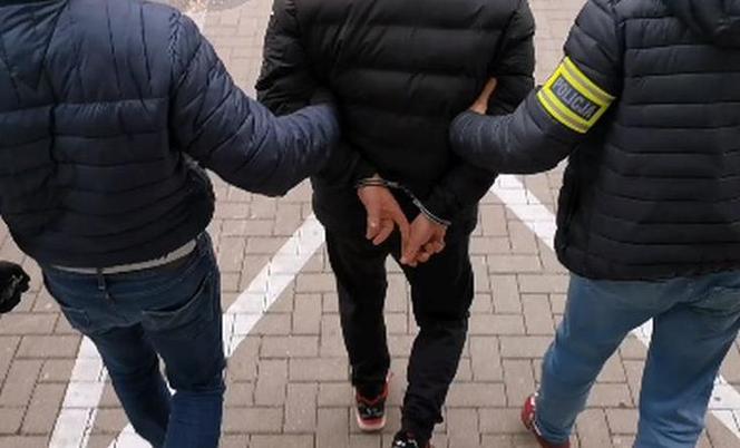 Białystok. Co za okrucieństwo! Syn zabił psa swojej matki?