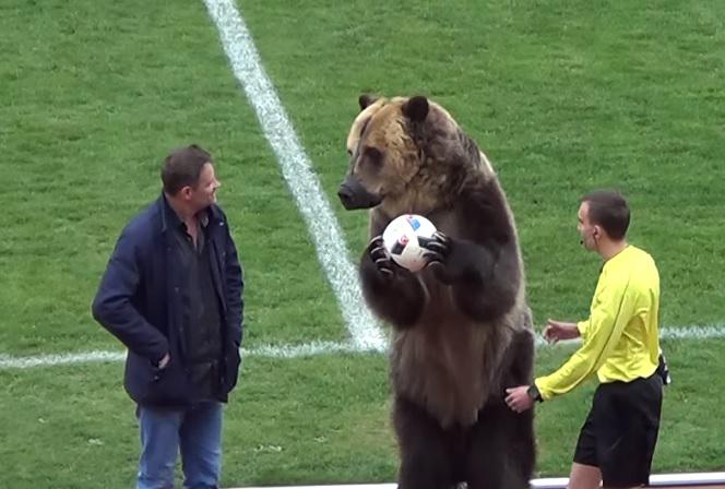 Mundial 2018 - Niedźwiedź otworzy Mistrzostwa