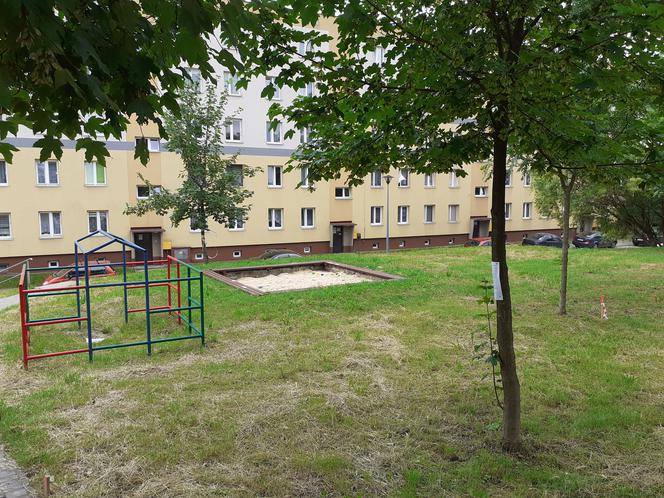 Tu powstanie siłownia plenerowa