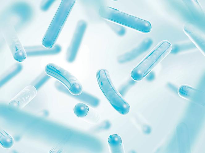 probiotyki pod mikroskopem