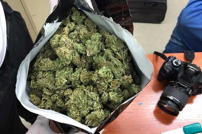 marihuana_narkotyki