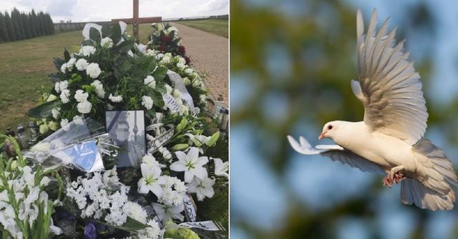 Pogrzeb Mateusza K. Nagle pod kościół przyleciał biały gołąb. Żałobnicy zalali się łzami