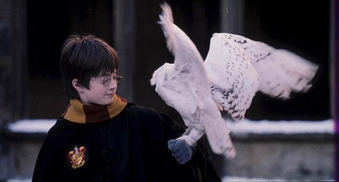 Harry Potter