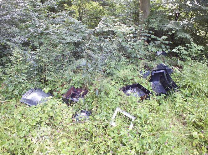 ŚMIECI w podkarpackich lasach.To nie tylko wina turystów, leśnicy alarmują!