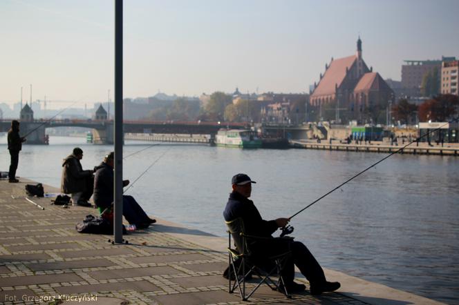 Pogoda w Szczecinie