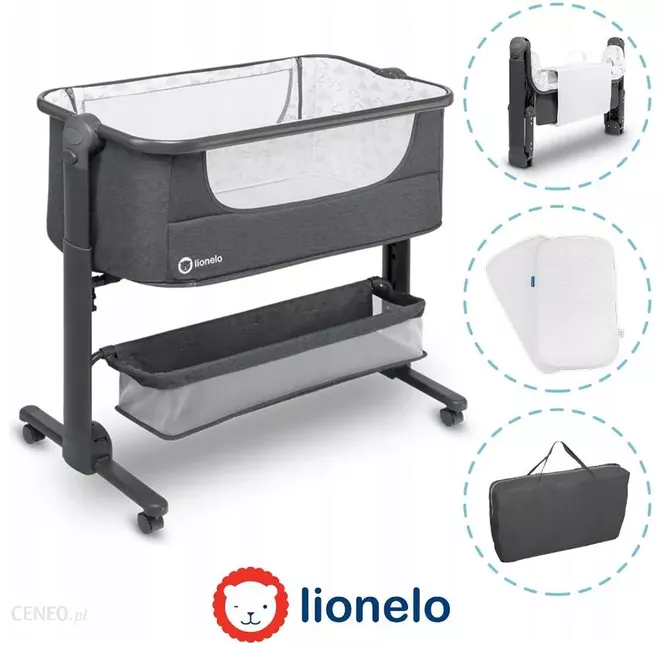 Lionelo, Timon,