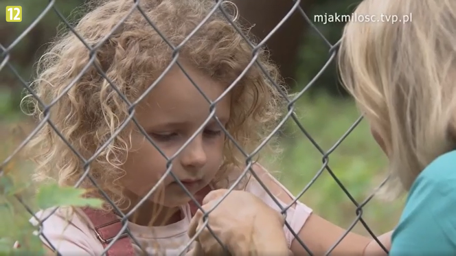 M jak miłość. Weronika sprzeda Polę za pieniądze! Tak skończy się jej walka z Kamilem o córkę