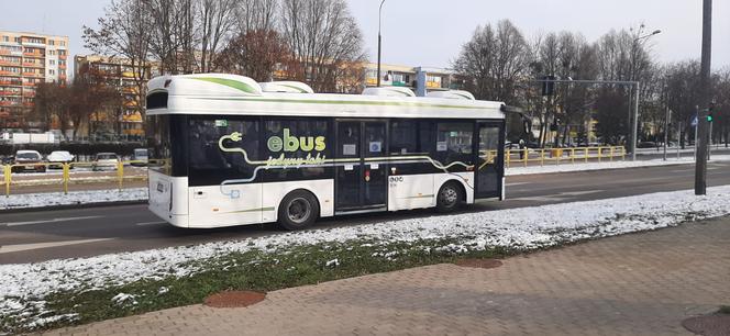 Ekobus w Łomży