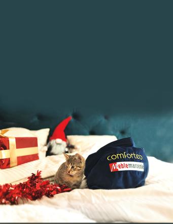 Comforteo