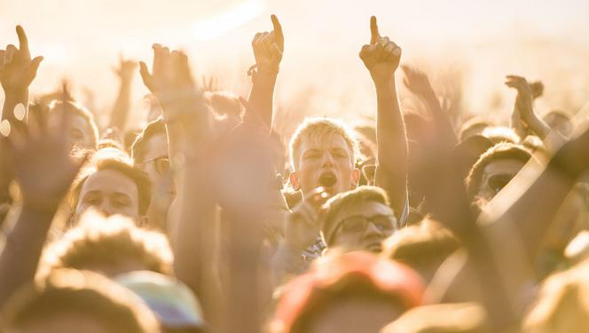 BITWA FANDOMÓW - kto ma najlepszy fandom w Polsce? GŁOSOWANIE