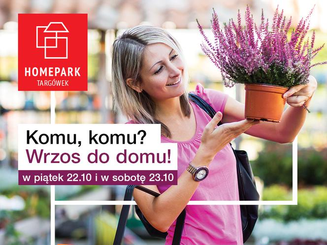 Zgarnij wrzosy do swojego domu! W Homepark Targówek rusza wyjątkowa akcja