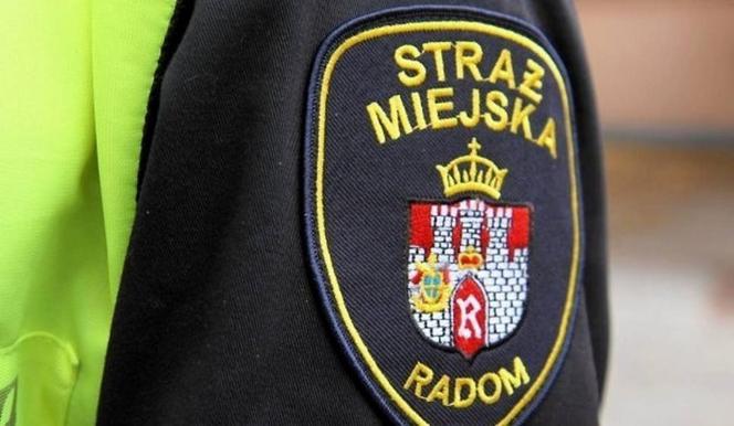 Straż miejska wlepiła pierwsze mandaty za brak maseczki w autobusie