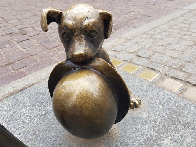 Ze starówki w Toruniu zniknął jeden z symboli! Co się stało z Filusiem?