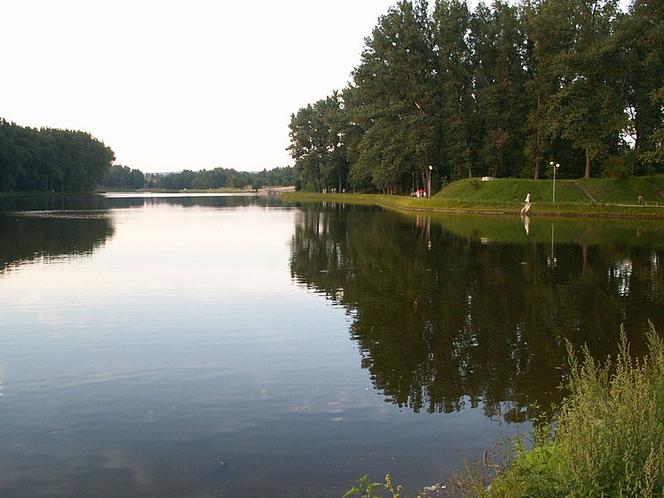 Kielce: Makabra nad zalewem! Martwy mężczyzna w wodzie!