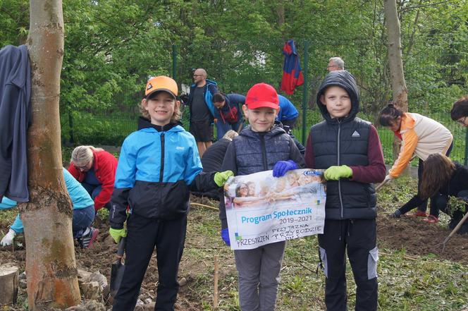 „Przestrzeń przyjazna przyrodzie” w SP5