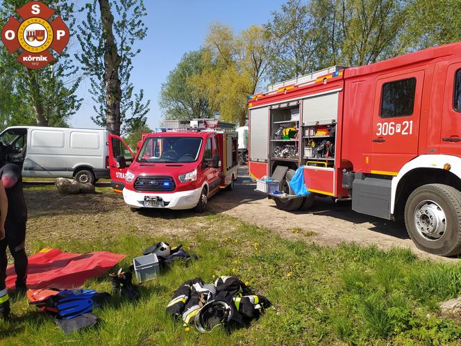 Ludzkie zwłoki w stawie! Makabryczne odkrycie pod Poznaniem