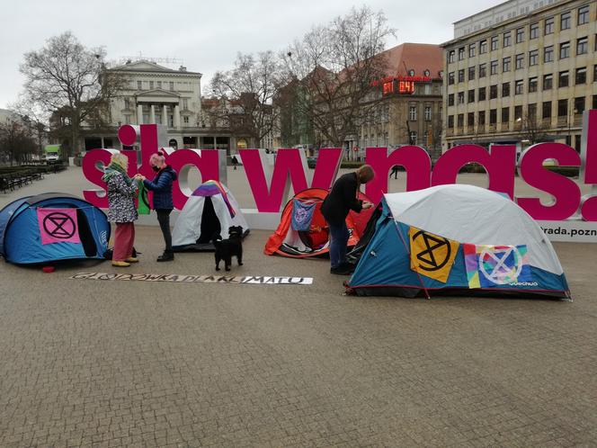 Tajemnicze namioty na placu Wolności. O co chodzi? Czas na bunt