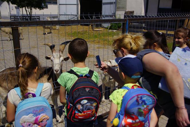 Wakacje z Caritas, a po wakacjach wyprawki szkolne i komputery