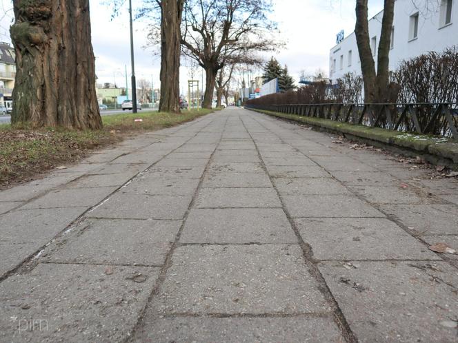 Jeszcze w tym roku ścieżka rowerowa przy Grunwaldzkiej zostanie wydłużona