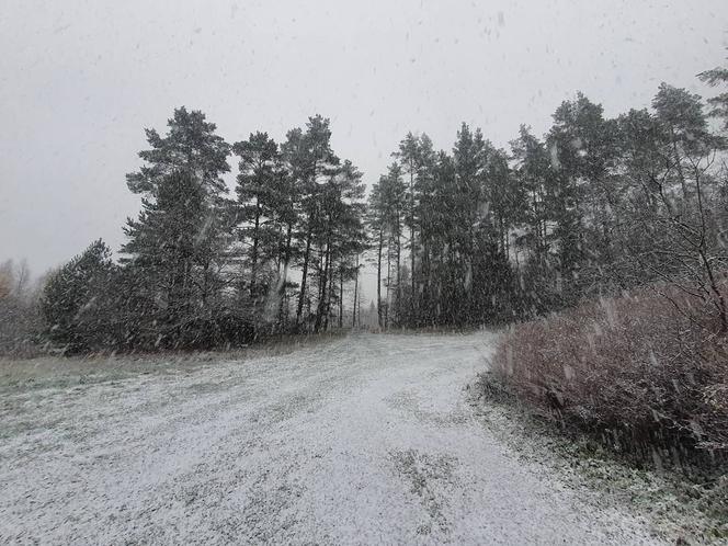 Zima zawitała na Warmię i Mazury. Spadł pierwszy śnieg!