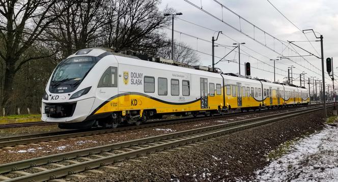 Koleje Dolnośląskie wznowią kursowanie pociągów transgranicznych