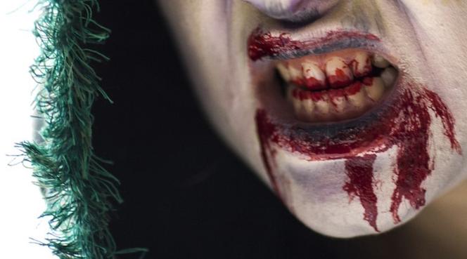 Wrocław: Horror na Starym Mieście! 23-latek ODGRYZŁ palec policjantowi!