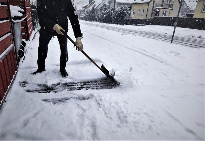 Jaki mandat za nieodśnieżoną posesję? Straż Miejska ostrzega