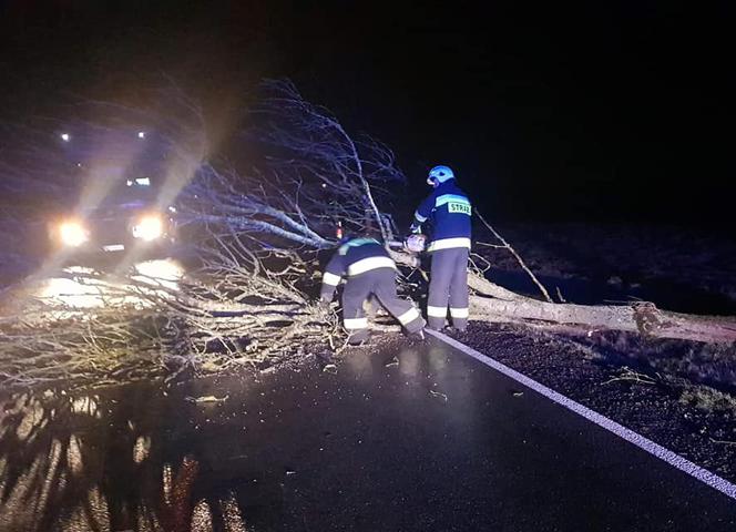 W ten weekend w regionie koszalińskim trzeba uważać na silny wiatr.