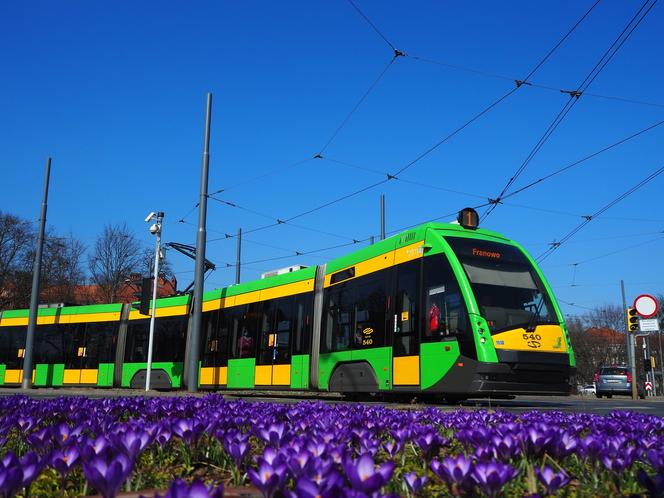 14% motorniczych i kierowców pozostaje na zwolnieniu