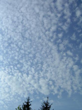 Meteorologia praktyczna - Cirrocumulus