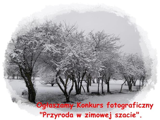 SP16 organizuje konkurs fotograficzny dla swoich uczniów