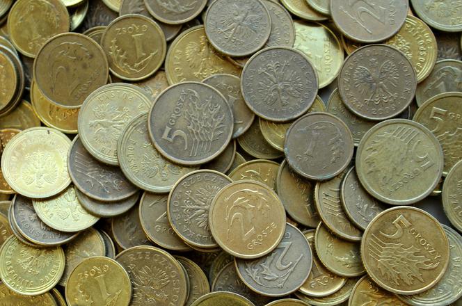 ABSURDALNA sytuacja w sądzie w Świdniku. Przyniósł WIADRO monet i wezwał policję