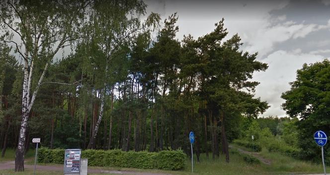 Bełchatów: W parku 1000-lecia ruszyła renowacja! Zmieni się naprawdę sporo!
