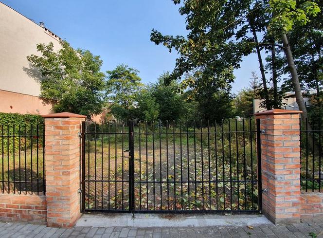 Pasjonaci zieleni poszukiwani – zaprojektuj ogród społeczny przy Gdańskiej