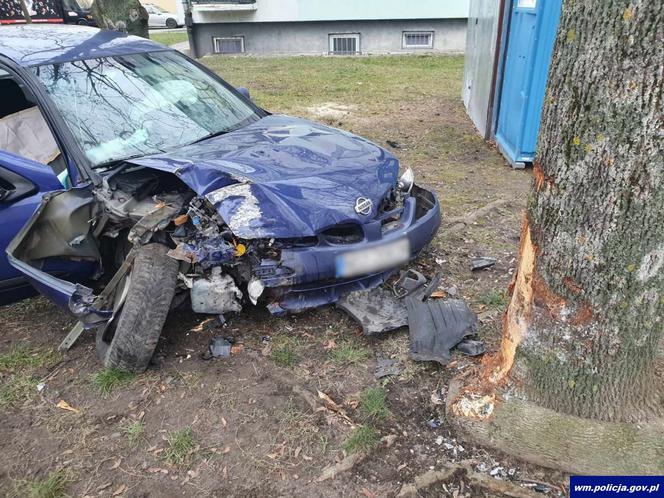 Wypadek w centrum Olsztyna. Złodziej uderzył w drzewo