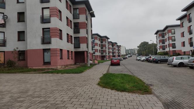 Psychopaci z Olsztyńskiej działają w tych okolicach. Nastolatki z Torunia robią straszne rzeczy