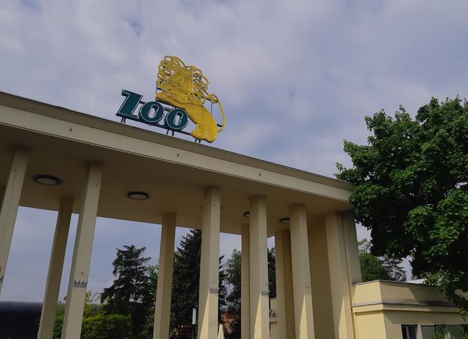 Zoo Wrocław