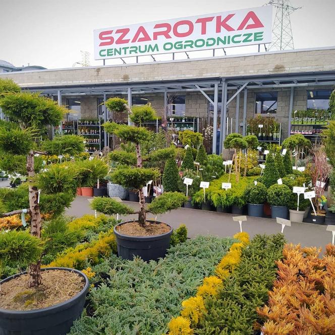 Nowości i rabaty w Centrum Ogrodniczym Szarotka