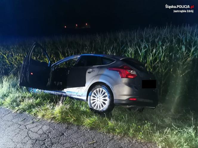 Wypadek w Jastrzębiu-Zdroju. Pijany wypadł samochodem z drogi. Auto samo powiadomiło służby