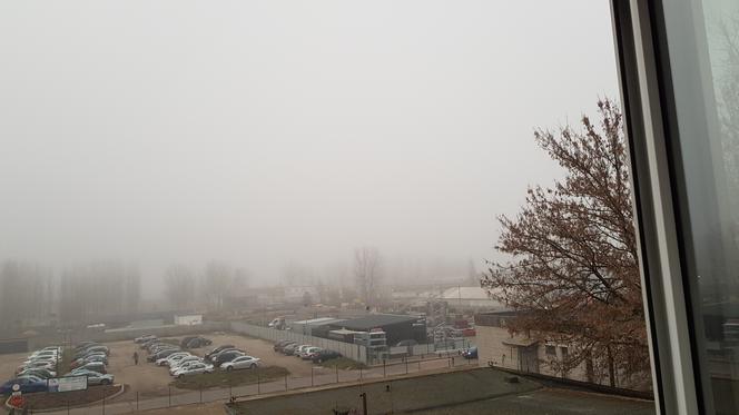 ALERT meteo dla Torunia i okolicy! Sprawdź, co nas czeka