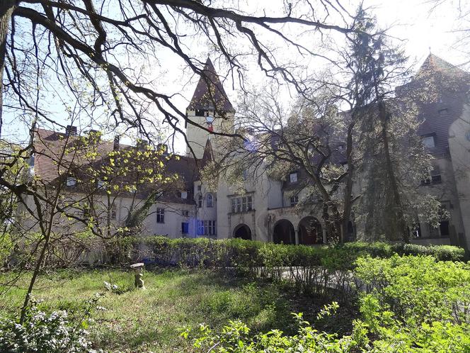 Lubniewice