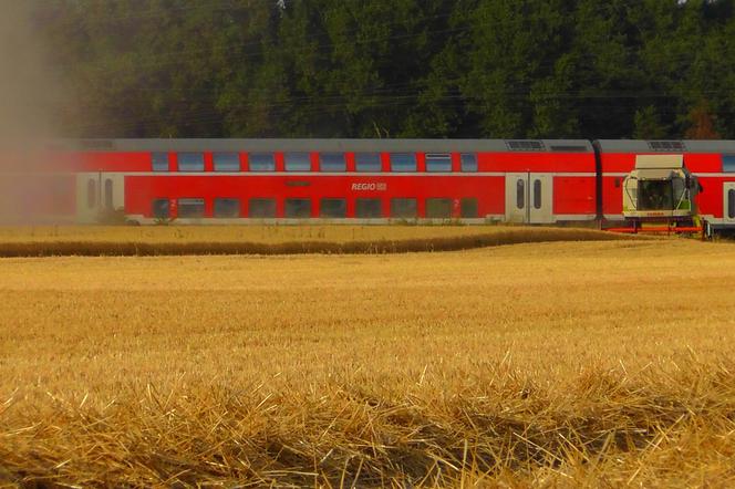 Jeden z pasażerów wyrzucił nielegalne papierosy z pociągu