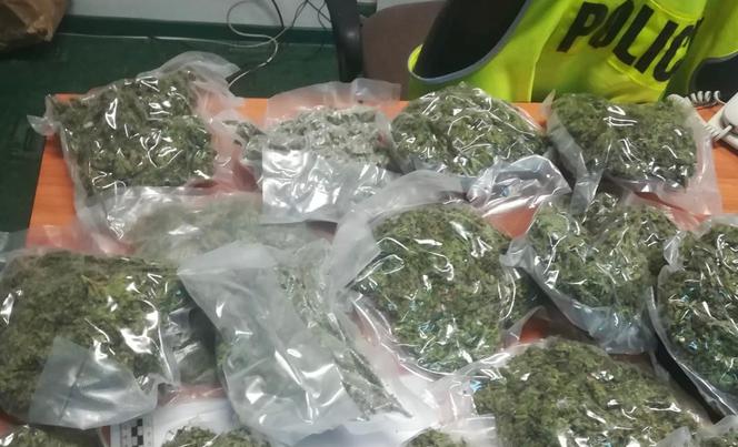 Zabezpieczyli ponad 26 kilogramów marihuany i zatrzymali dwóch 35-latków