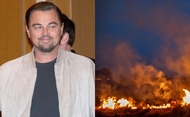 Leonardo DiCaprio i pożary puszczy Amazonii