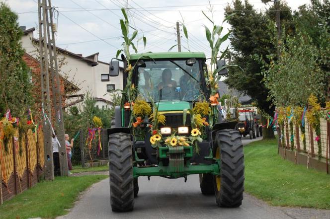 traktor_dożynki