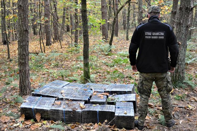 Gigantyczny przemyt papierosów. Oskarżenia dla dwóch gangów