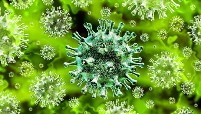 Koronawirus: epidemia w Polsce
